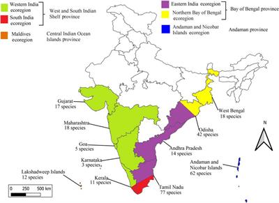 Diversity of Indian Barnacles in Marine Provinces and Ecoregions of the Indian Ocean